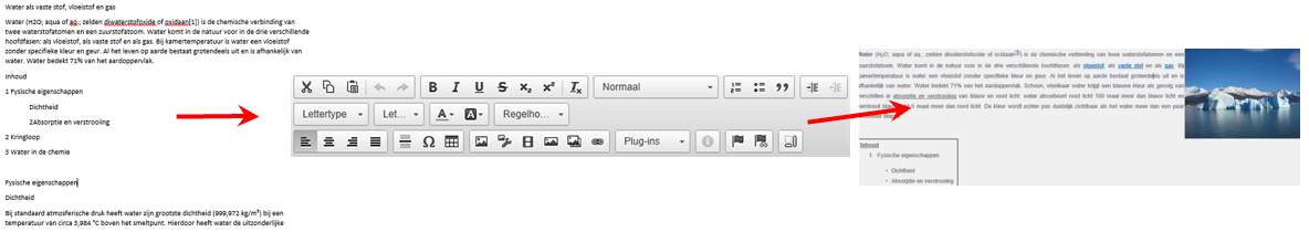 Ins_CMS editor (Beschr)