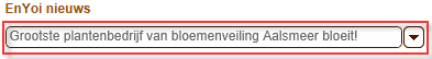 Out_Thema banner onderhouden (80)