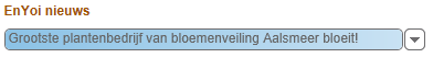 Out_Thema banner onderhouden (90)