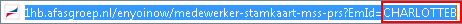 Ins_Parameter koppelen aan pagina (40)