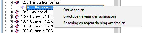 Pay_Journaalstructuur Payroll aanpassen_3
